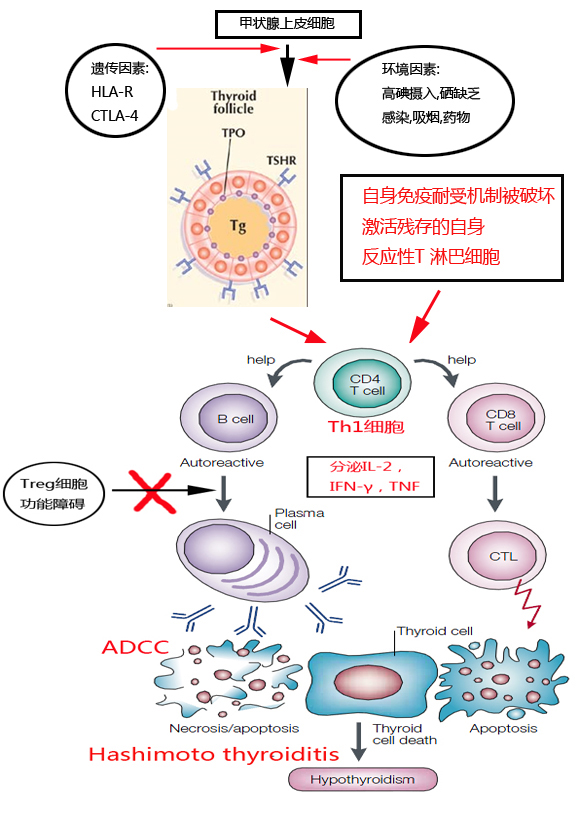 图片28.jpg 图片28.jpg