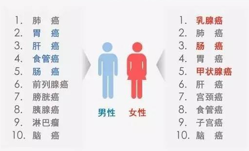 图片29.jpg 图片29.jpg