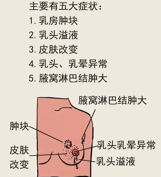 图片31.jpg 图片31.jpg