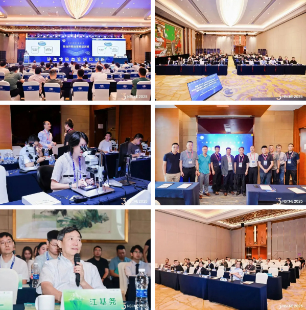 QQ20250904-094919.jpg QQ20250904-094919.jpg