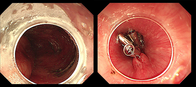 图片-7.jpg 图片-7.jpg