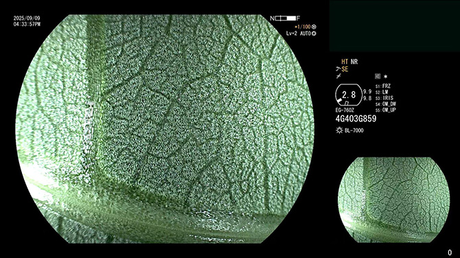 图片4.jpg 图片4.jpg