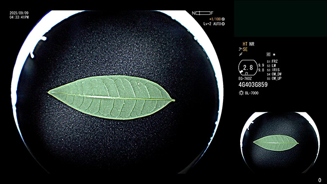 图片5.jpg 图片5.jpg