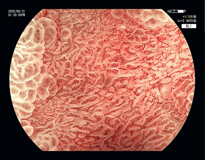 图片7.jpg 图片7.jpg