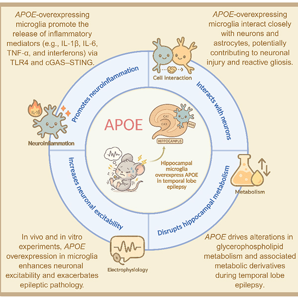 微信图片_20251031103231.jpg 微信图片_20251031103231.jpg