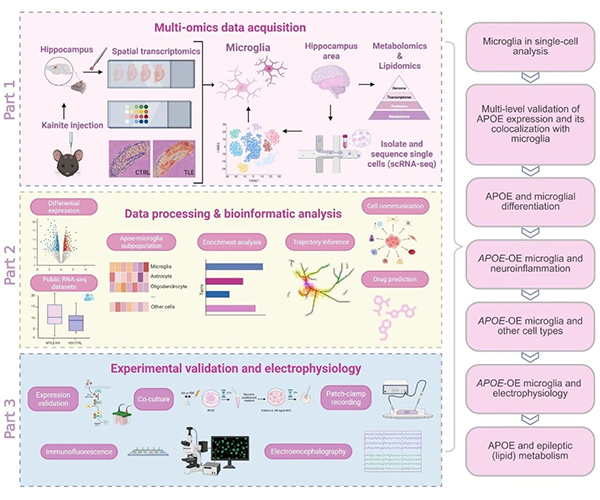 微信图片_20251031103232.jpg 微信图片_20251031103232.jpg