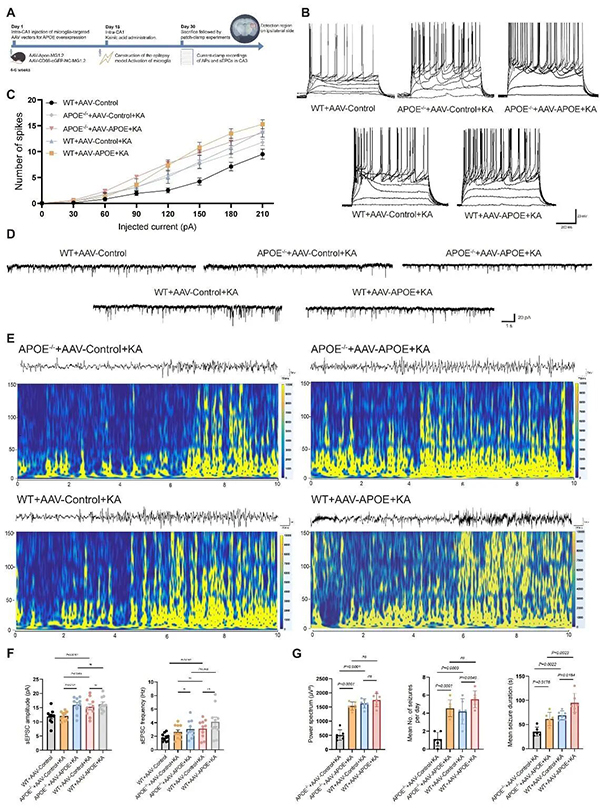 微信图片_20251031103234.jpg 微信图片_20251031103234.jpg
