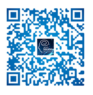 DM_20251114091321_007.jpg DM_20251114091321_007.jpg