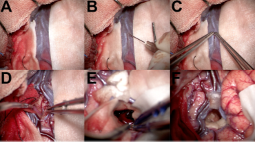 DM_20251127140229_007.png DM_20251127140229_007.png