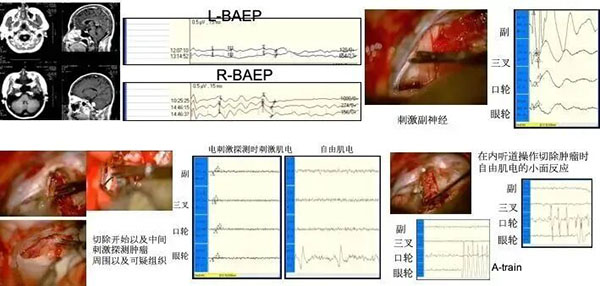 DM_20260407093028_004.jpg DM_20260407093028_004.jpg