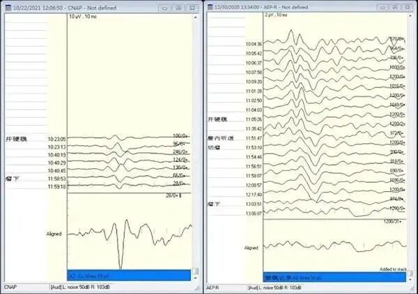 DM_20260407093028_010.jpg DM_20260407093028_010.jpg