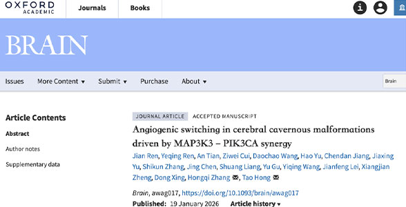 成果发表｜BRAIN：宣武神外洪韬、张鸿祺团队揭示脑海绵状血管畸形分子新机制，为疾病药物研发提供新靶点