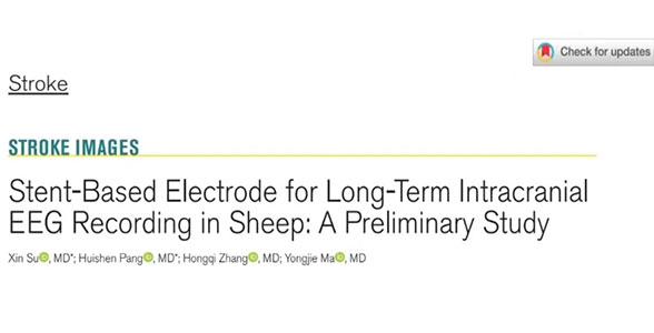 成果发表｜宣武医院神经外科张鸿祺、马永杰团队《STROKE》发表基于血管内支架电极用于绵羊长期颅内脑电监测